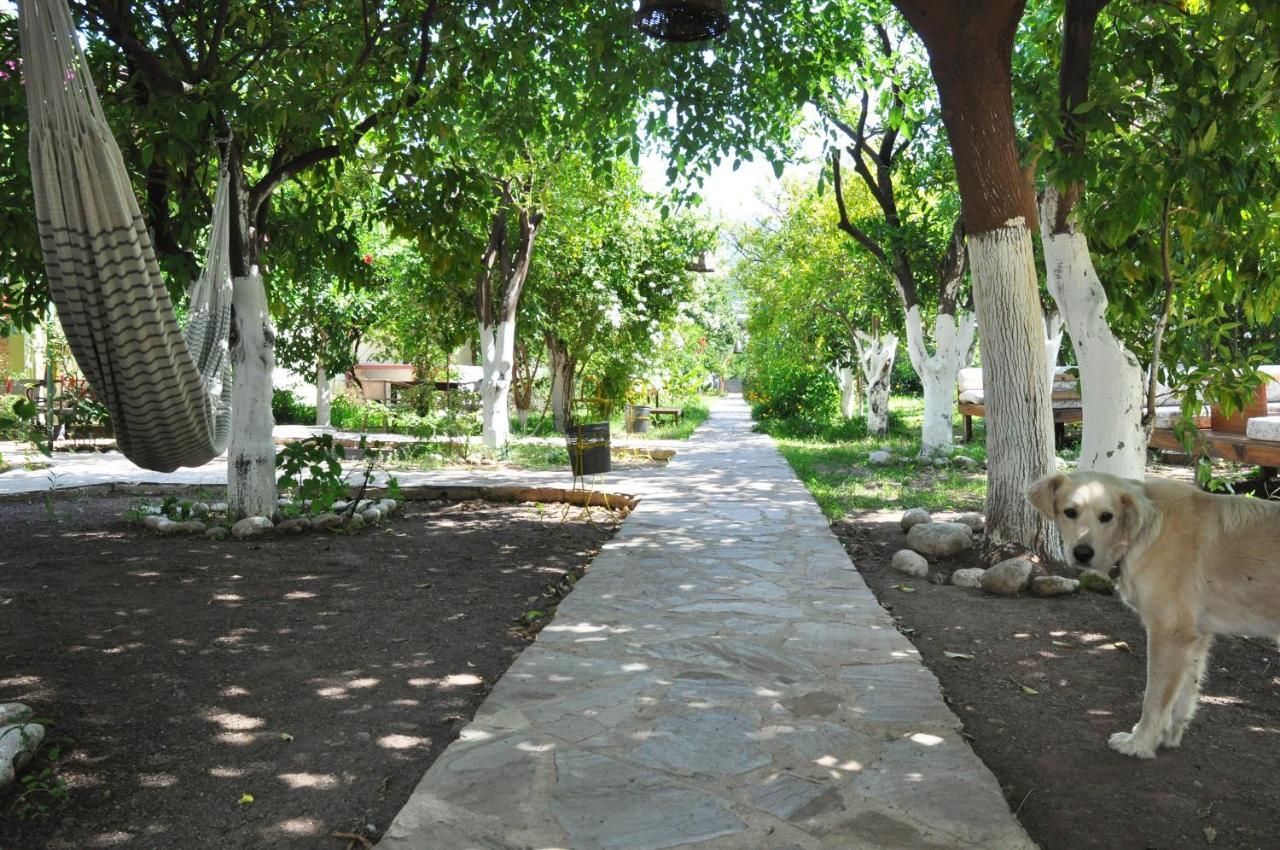 San Simon Hotel Çıralı Buitenkant foto