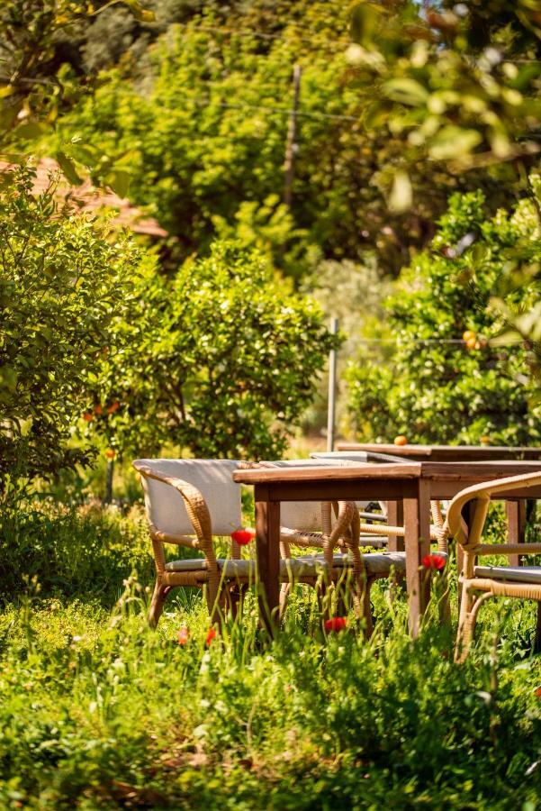 San Simon Hotel Çıralı Buitenkant foto